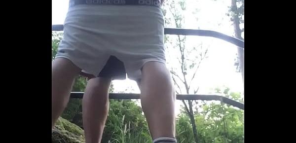  Breeding ass outdoor